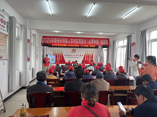 图片6.png
